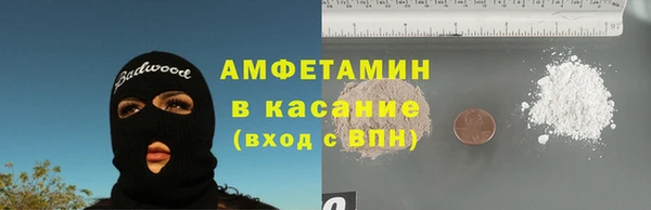сатива Балахна