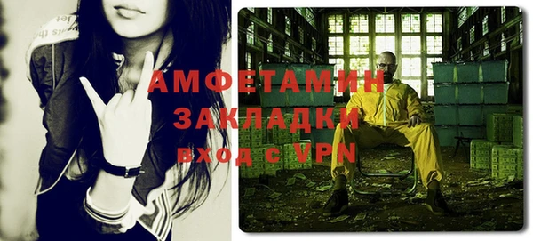 сатива Балахна
